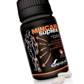 minicarsuplex